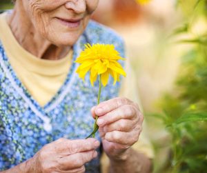 Spring Activities That Bring Joy to Seniors